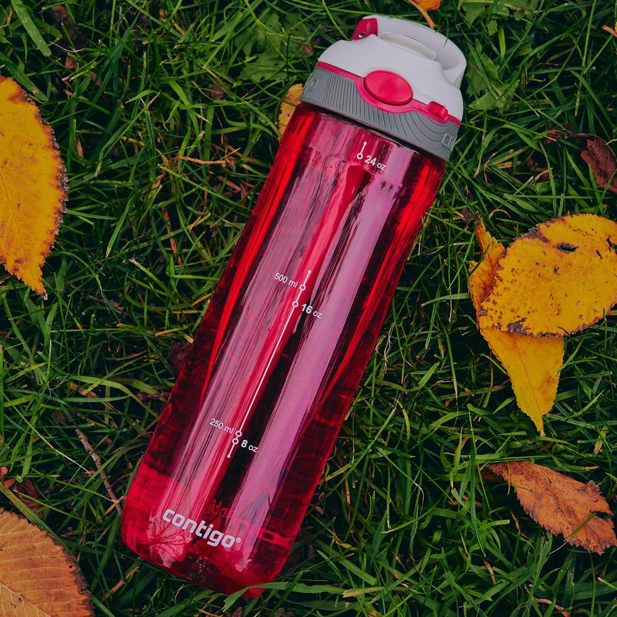 Contigo Ashland Sangria – butelka z recyklingu, ze słomką i ustnikiem AutoSpout®, szczelna i bezpieczna, kolor: różowy