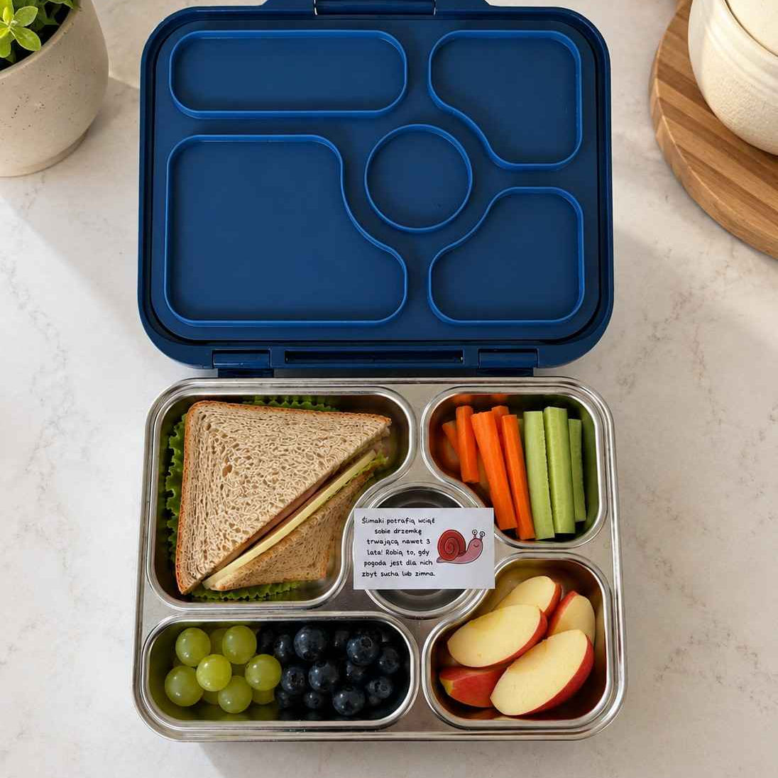 Lunchie Niezwykła Natura – karteczki do lunch boxa ze świata zwierząt i roślin