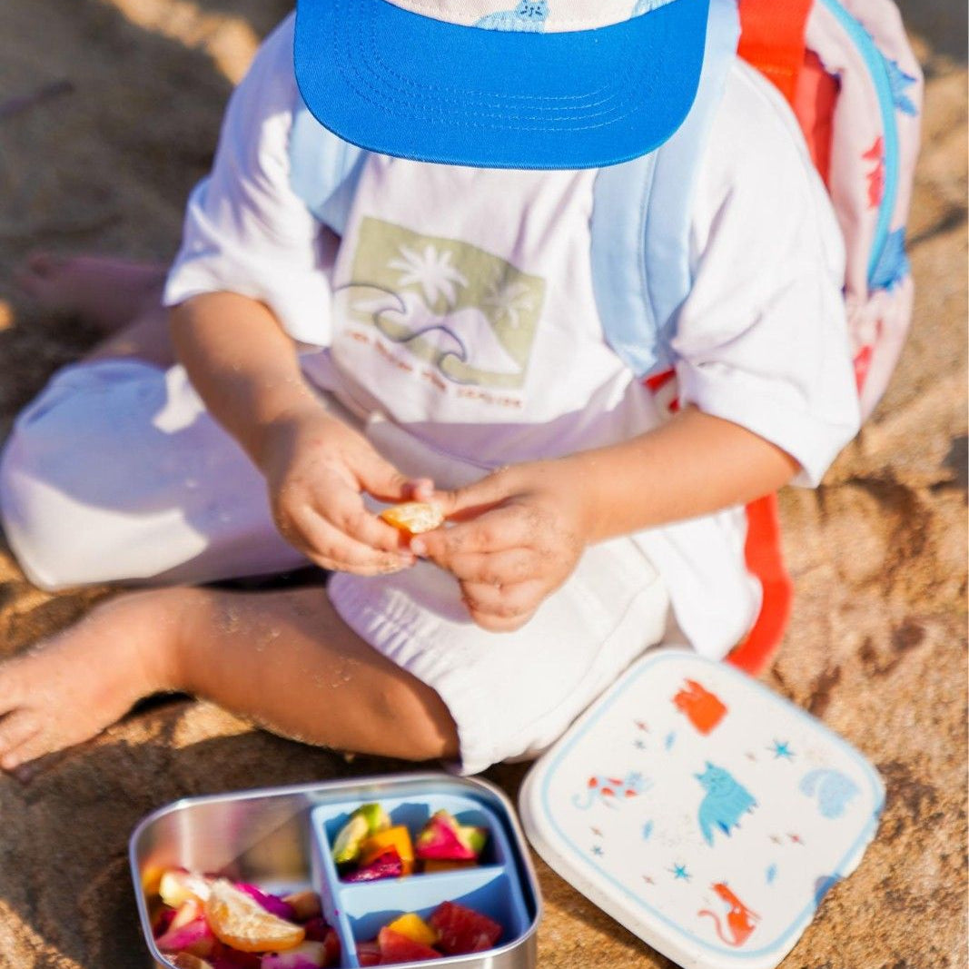 Śniadaniówka The Cotton Cloud Meowtiful Cats – 1000 ml, miękka pokrywka, wyjmowana przegródka, uroczy design, idealny do szkoły / przedszkola, wzór: kotki