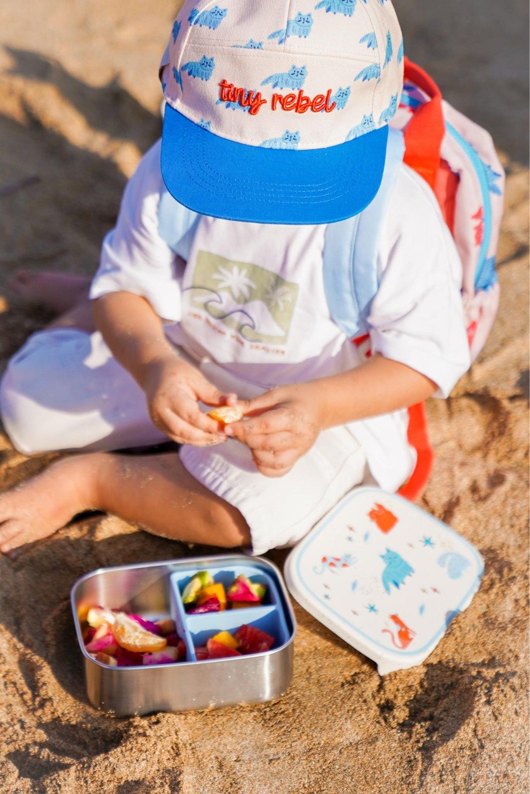 Śniadaniówka The Cotton Cloud Meowtiful Cats – 1000 ml, miękka pokrywka, wyjmowana przegródka, uroczy design, idealny do szkoły / przedszkola, wzór: kotki