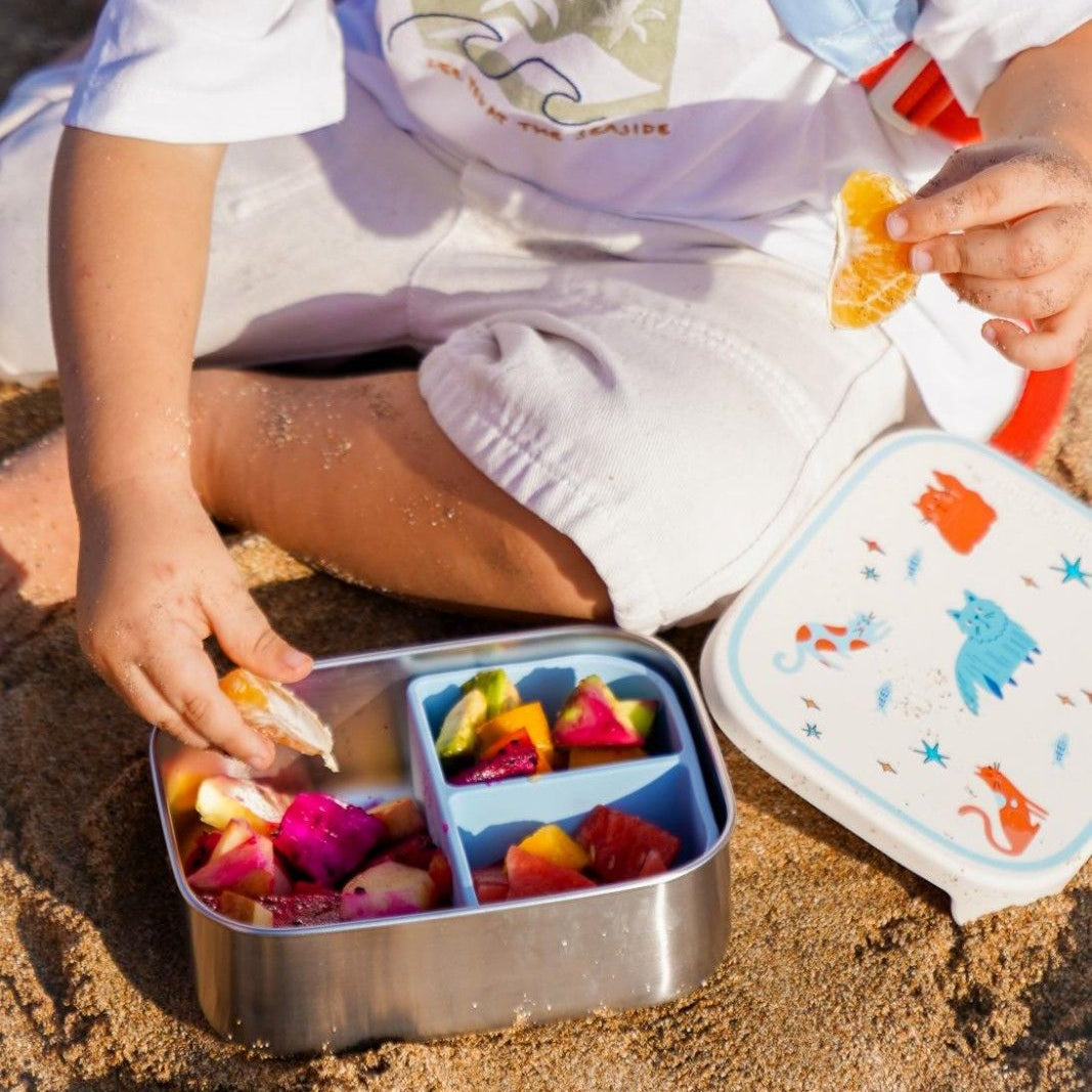 Śniadaniówka The Cotton Cloud Meowtiful Cats – 1000 ml, miękka pokrywka, wyjmowana przegródka, uroczy design, idealny do szkoły / przedszkola, wzór: kotki