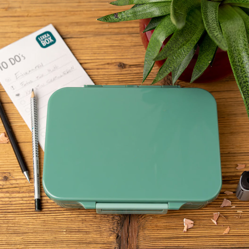 Lekkabox Classic Forest – lekka śniadaniówka z 4 przegródkami, szczelna i bez BPA, idealna do szkoły, przedszkola i pracy.