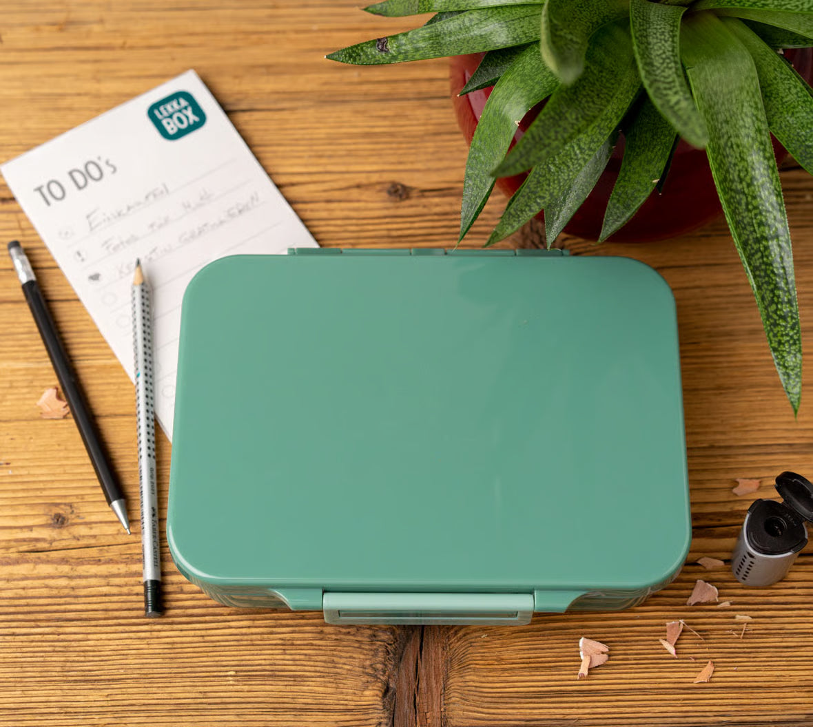 Lekkabox Classic Forest – lekka śniadaniówka z 4 przegródkami, szczelna i bez BPA, idealna do szkoły, przedszkola i pracy.