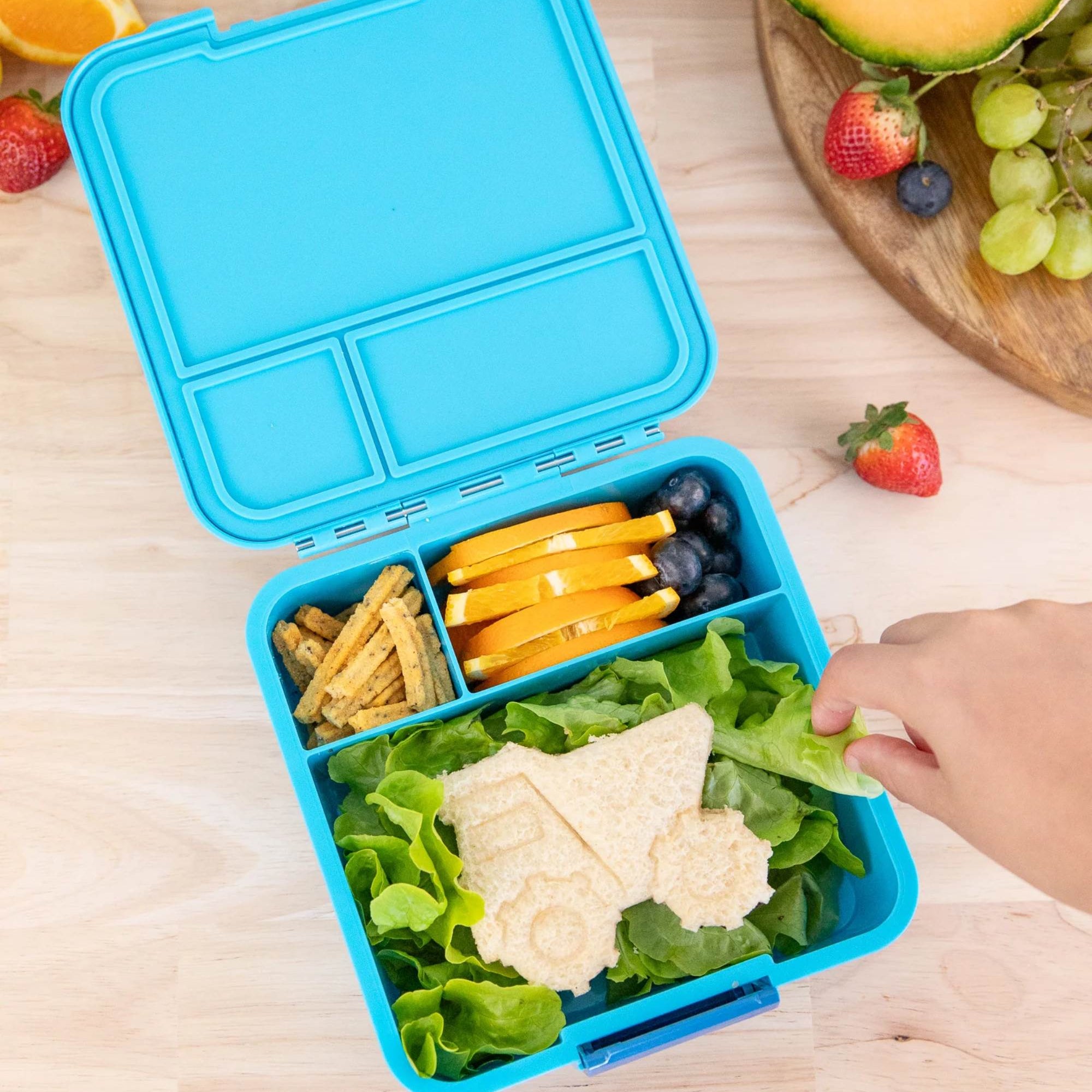 LunchBox MontiiCo Coastal – 3 przegrody, szczelny, lekki i idealny na śniadanie do szkoły lub przedszkola, kolor: niebieski