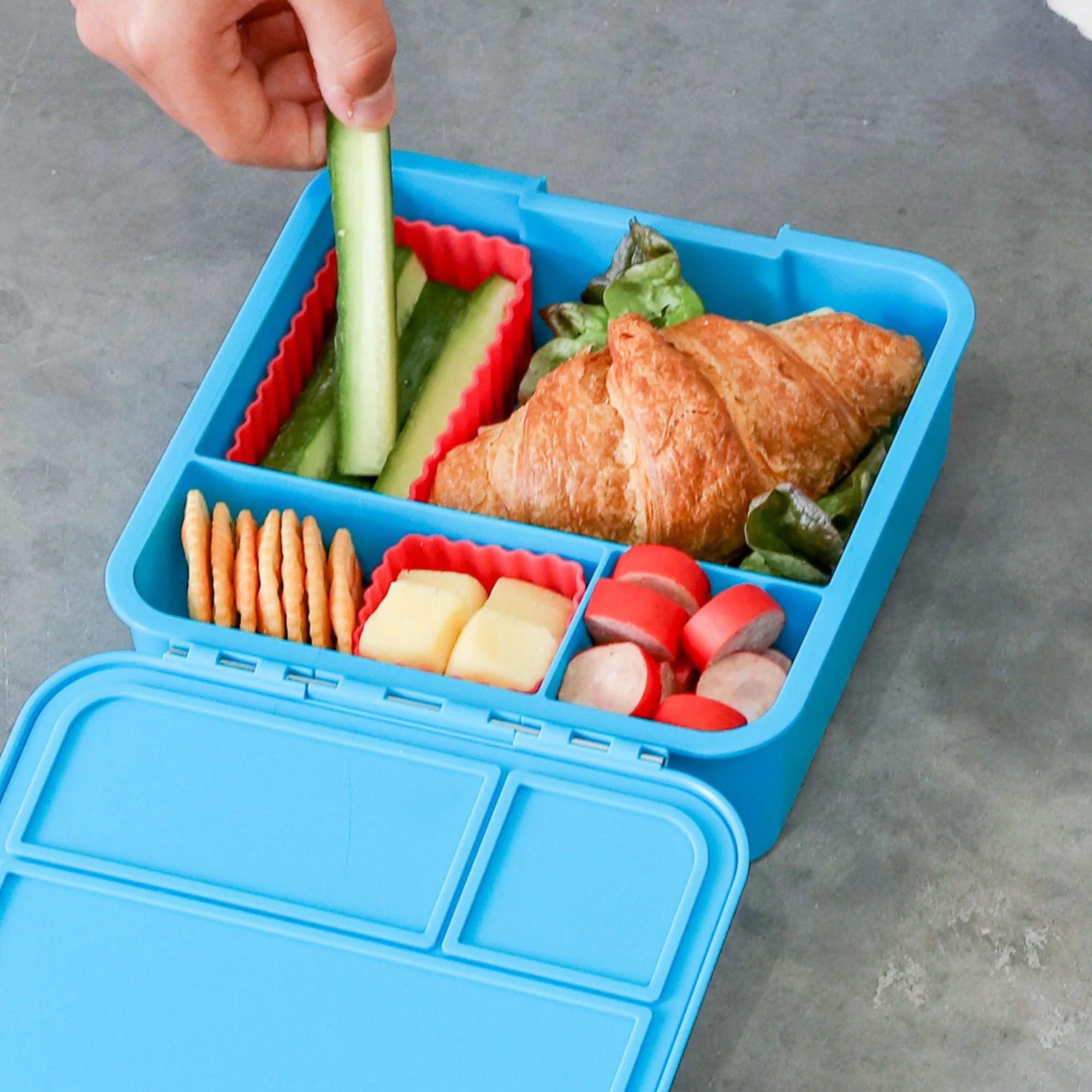 LunchBox MontiiCo Coastal – 3 przegrody, szczelny, lekki i idealny na śniadanie do szkoły lub przedszkola, kolor: niebieski