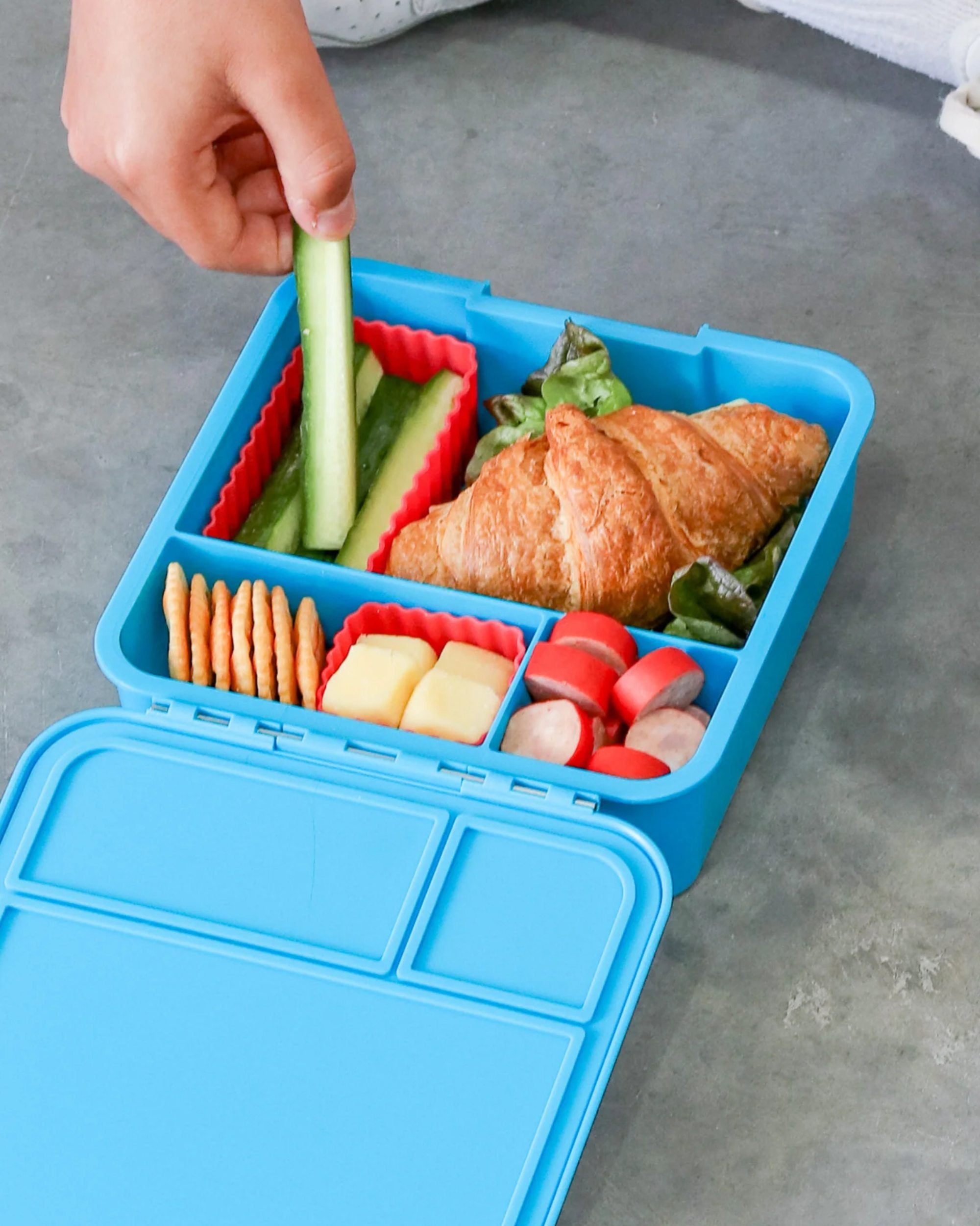 LunchBox MontiiCo Coastal – 3 przegrody, szczelny, lekki i idealny na śniadanie do szkoły lub przedszkola, kolor: niebieski