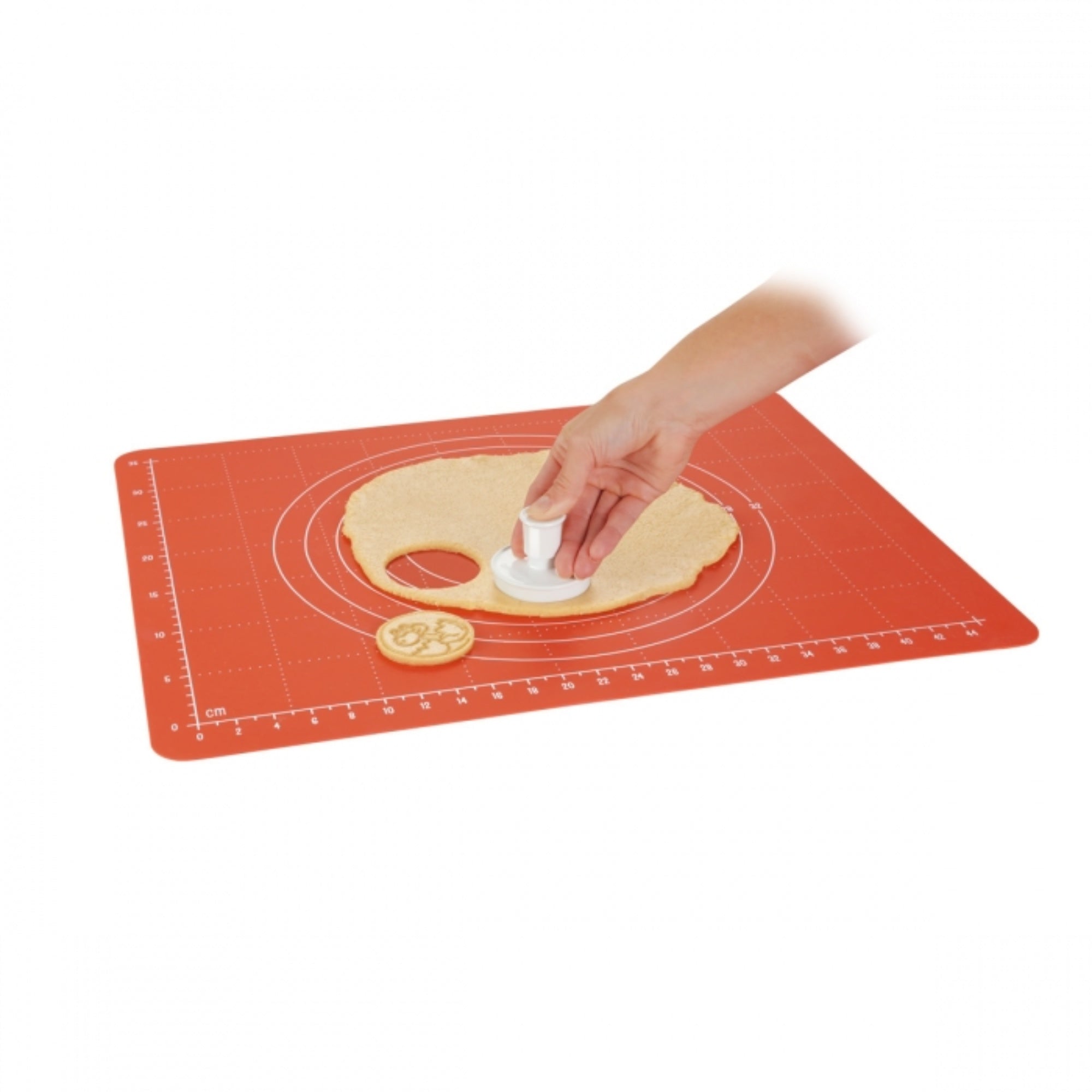 Wykrawacze DELÍCIA z tłoczeniem dinozaurów; tworzywo bez BPA, nadaje się do zmywarki, do ciastek i mas cukrowych