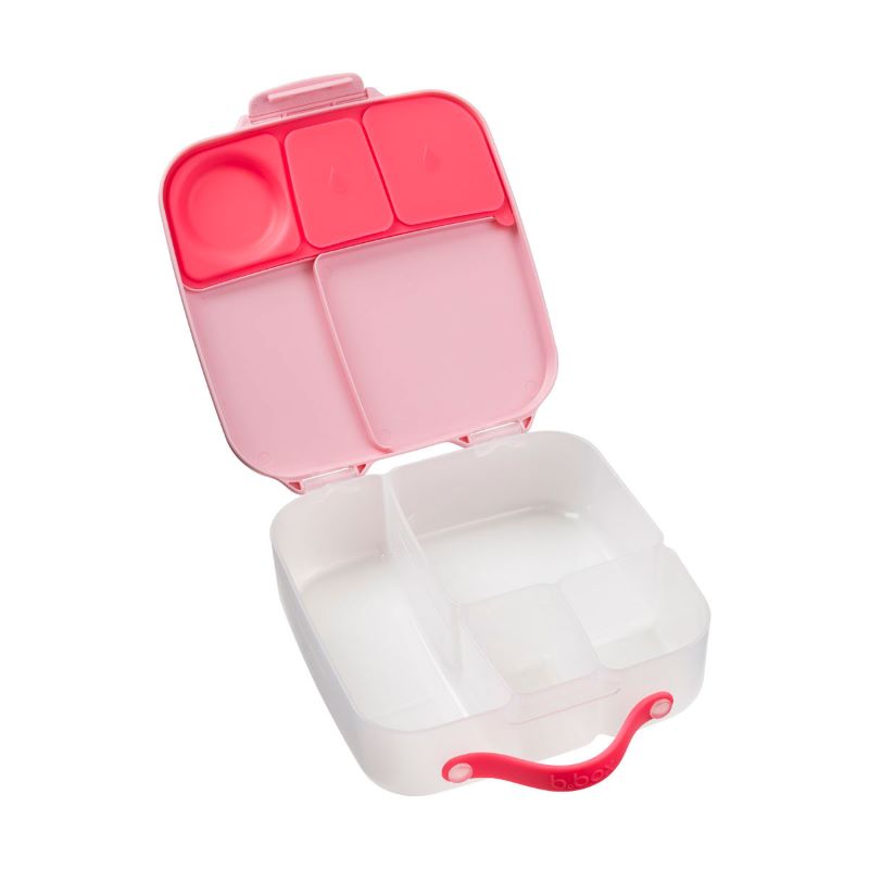 B.BOX, lunch box, Flamingo Fizz b.box Lunch Boxes & Totes | TwójLunchBox