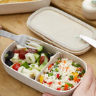 Lunchbox Lekue To Go Organic – bento box z przegrodą, schowkiem i silikonową opaską.