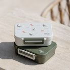 Citron Snack Box Dino tritanowy pojemnik na przekąski - 3 przegródki, szczelny, łączony silikon, bez BPA, wzór: dinozaury