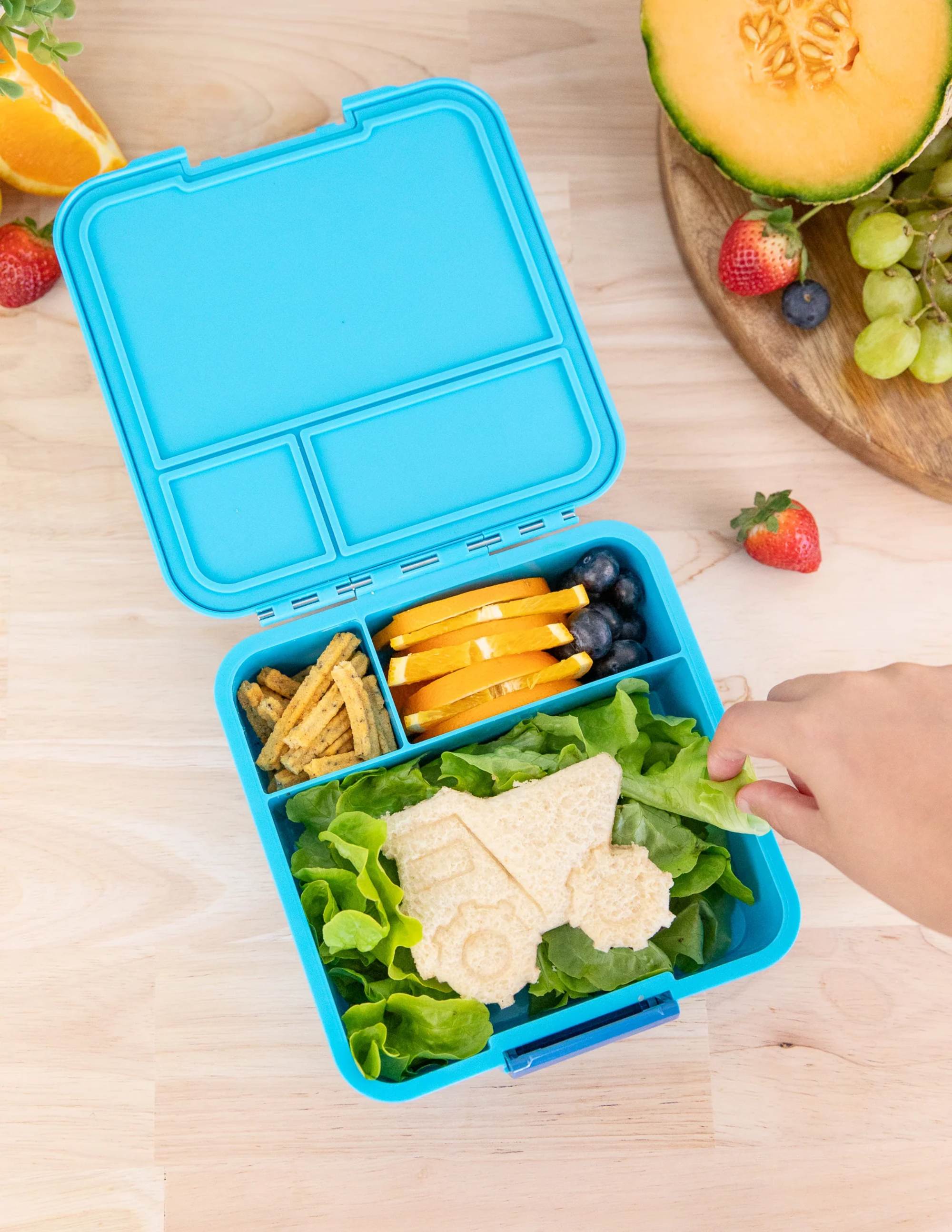 LunchBox MontiiCo Coastal – 3 przegrody, szczelny, lekki i idealny na śniadanie do szkoły lub przedszkola, kolor: niebieski