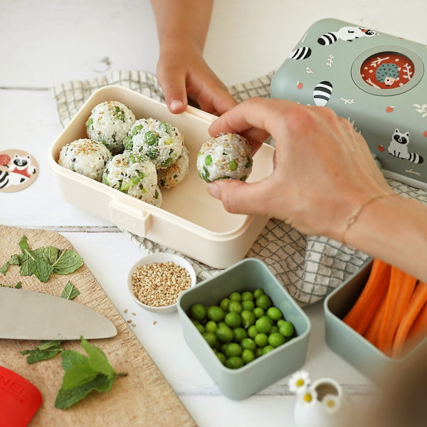 Monbento Tresor Racoon– lunchbox dla dzieci z 3 pojemnikami. Lekki, szczelny i łatwy w otwieraniu. Idealny do szkoły, na wycieczkę i piknik, wzór: szop